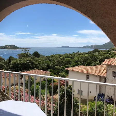 Les Pieds Dans L'eau *