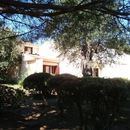 Les Pieds Dans L'eau *