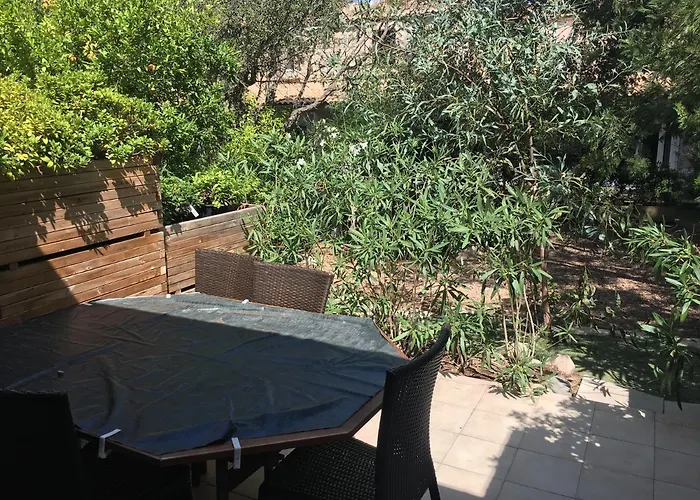 Les Pieds Dans L'eau פורטו-וישיו